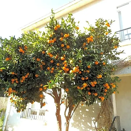 Oda ve Kahvaltı Au Bougainvillier Perpignan