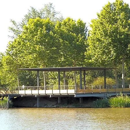 Oda ve Kahvaltı Au Bougainvillier Perpignan